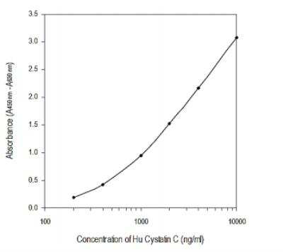 ELISA: Human, Monkey Cystatin C ELISA Kit (Colorimetric) [KA0022]